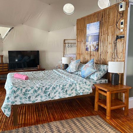 Glamping Dome Dauin Beach Resort 외부 사진
