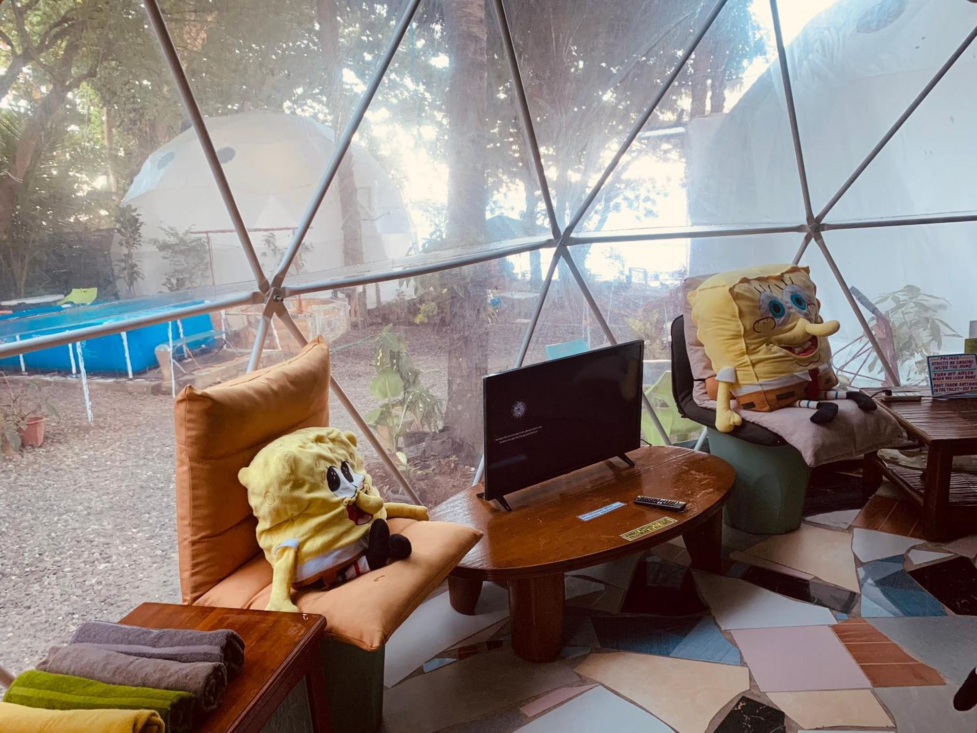 Glamping Dome Dauin Beach Resort 외부 사진