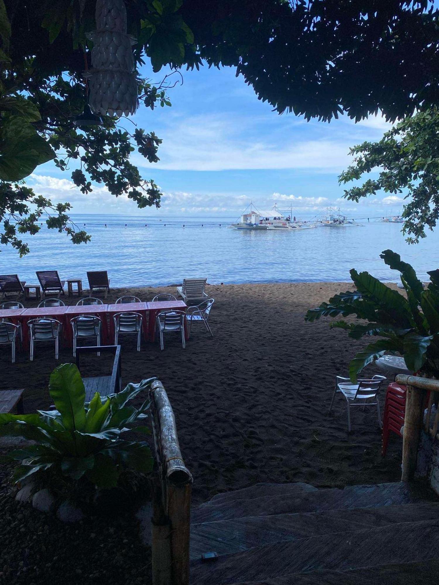 Glamping Dome Dauin Beach Resort 외부 사진
